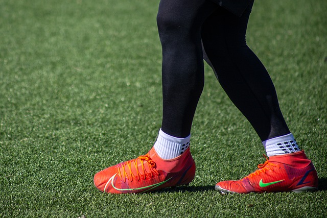 局势的洞察 局势的洞察